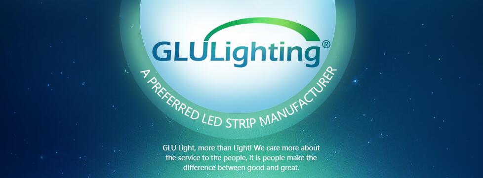 product-1-1 China professional led strip manufacturer.jpg