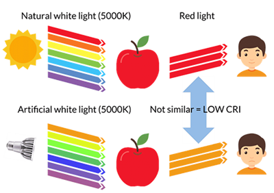 CRI/Ra TCS Spectrum Data (CSV/Excel Format)