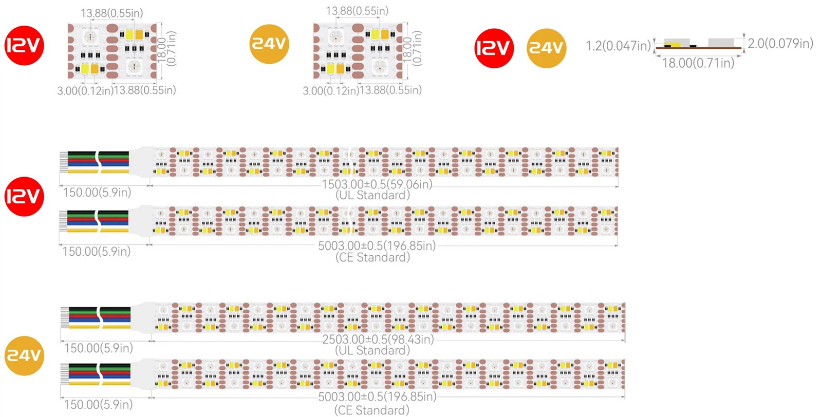 dimension 216D-1led dimension 216D-1led
