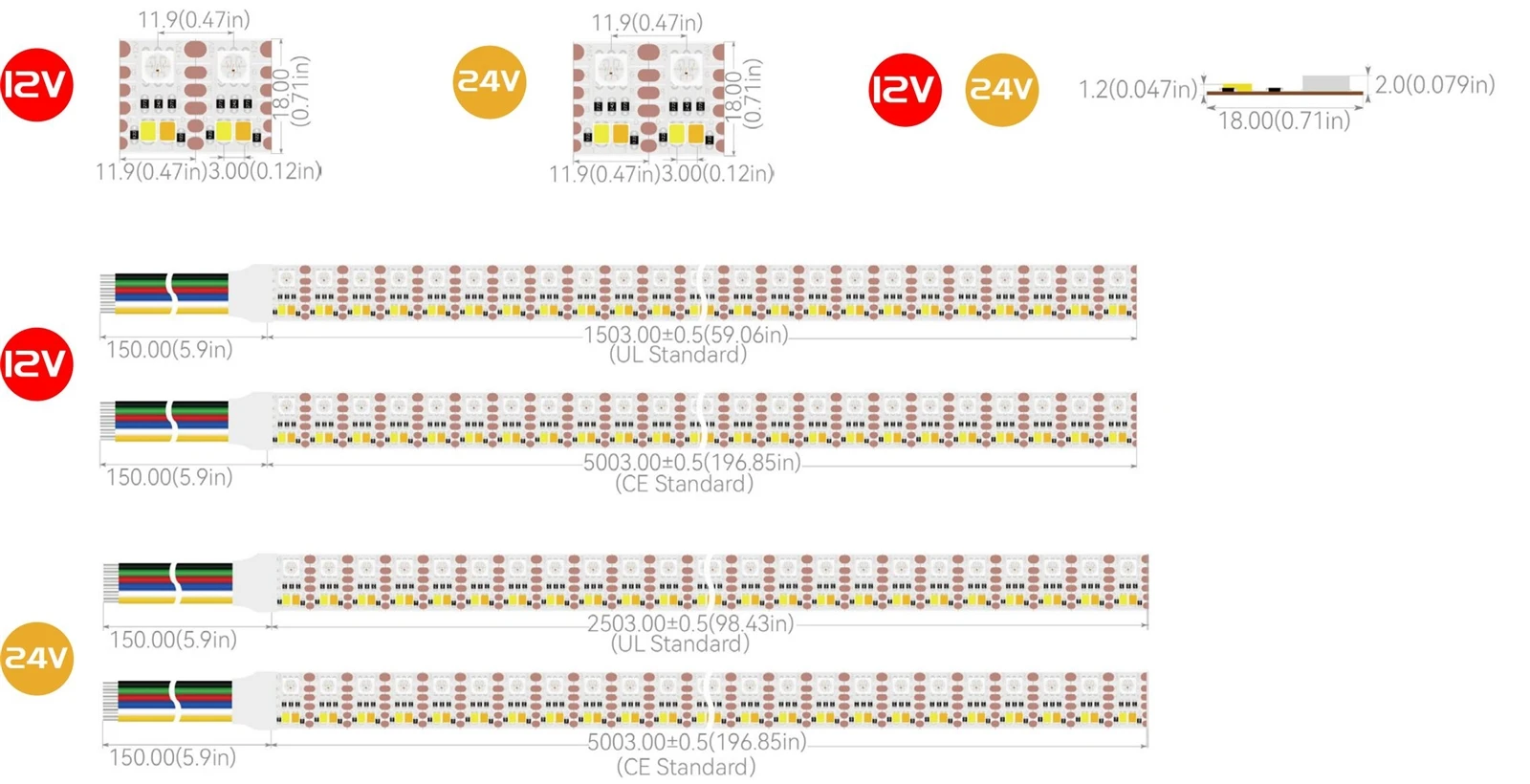 dimension 216D-1led
