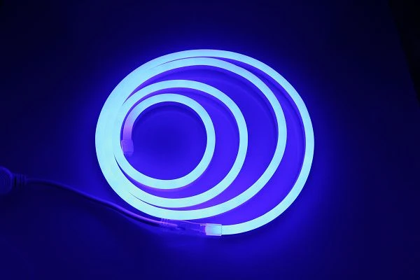 China manufacturer AC110V/AC220V high brightness 2835 neon flexible led strip light 