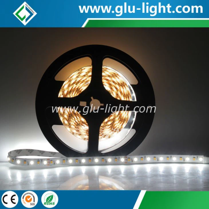 DC12V/24V high quality 2835 led strip Bi-color led tape light 3 years warranty 