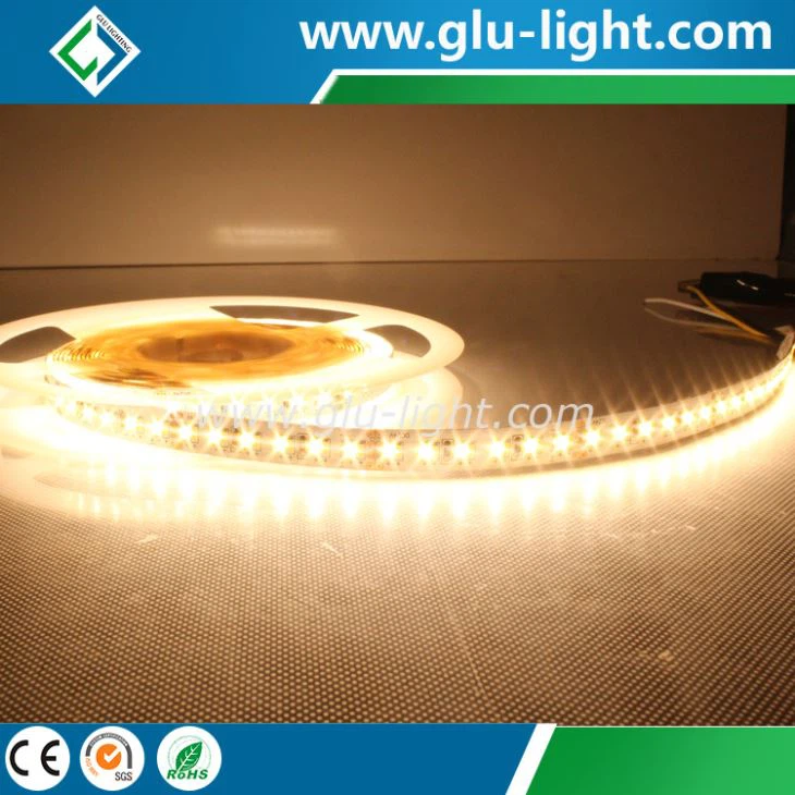 Shenzhen factory High quality Bi color 3014 led strip, W/WW CCT adjust 3014 led strip 