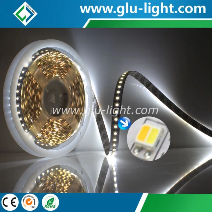 W+WW 2 chip in 1 24V 120led/m CCT adjustable hybrid 3527 dual color led strip 
