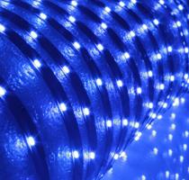 High brightness 12V 8mm width 60leds/m side viewing 3014 blue led ribbon