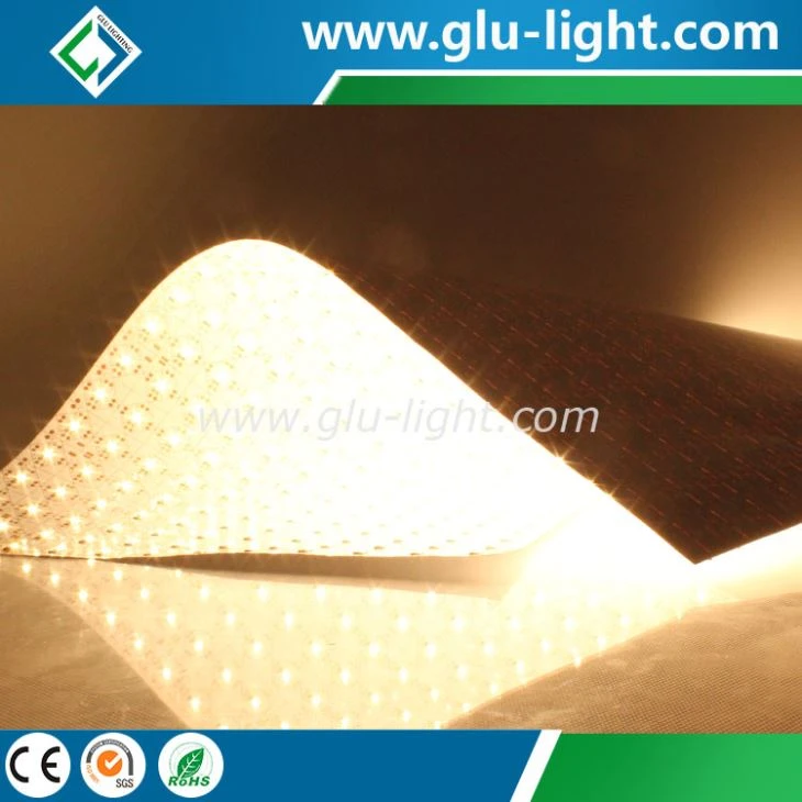 3 year warranty 12V/24V single color/bi color 2835 flexible led panel light for TV show