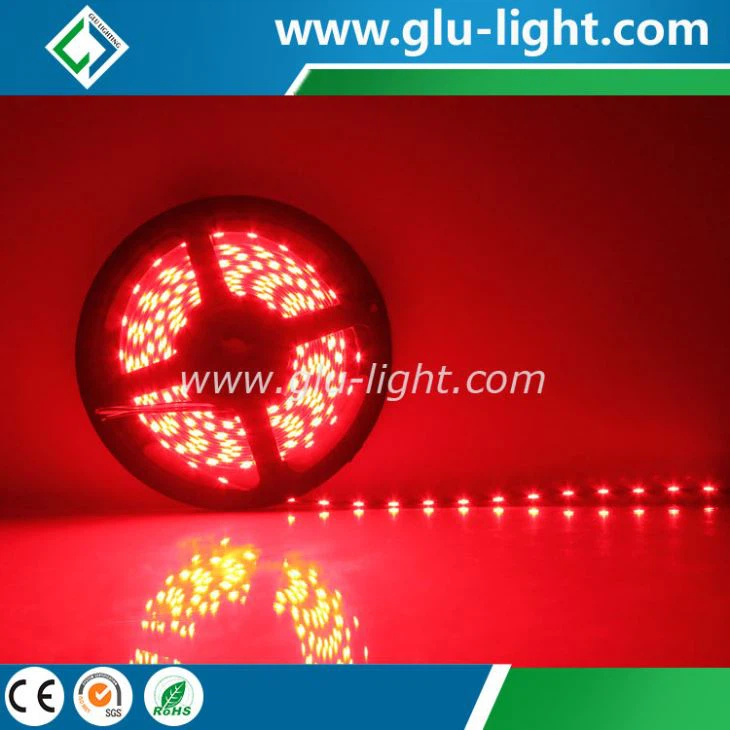 2017 3 In 1 DC24V 020 Side Emitting RGB Color Led Strip 60 Leds/m