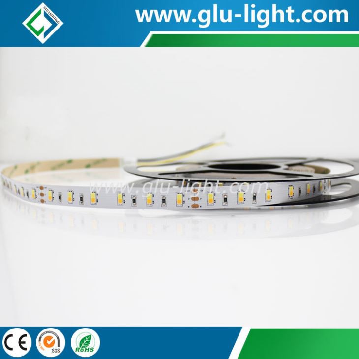 24V dual color W/WW Ra90 5630 flex led tape
