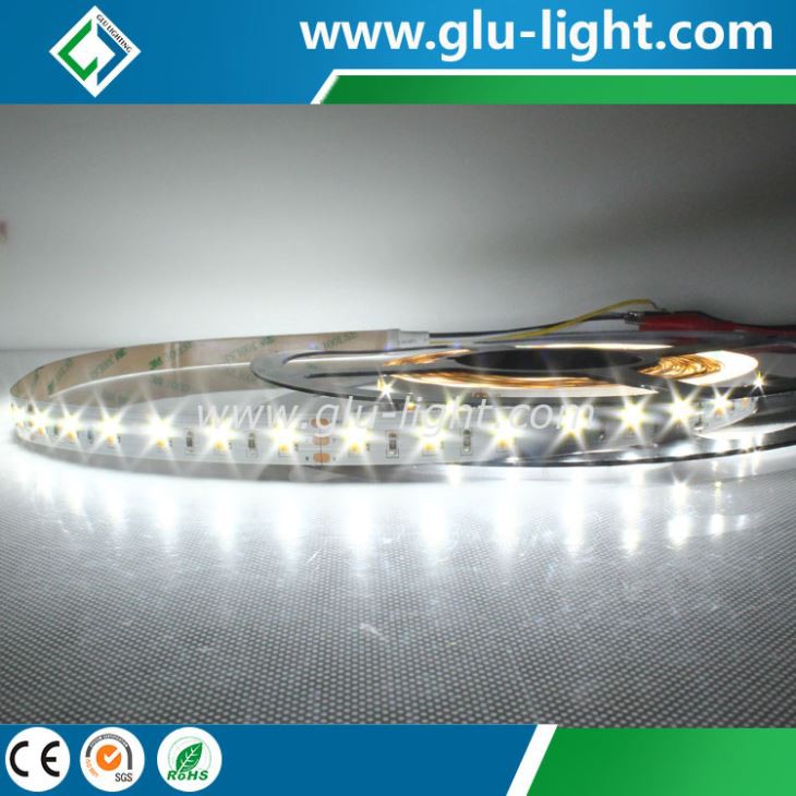  DC24V 5630 led ribbon W+WW Bi-color 