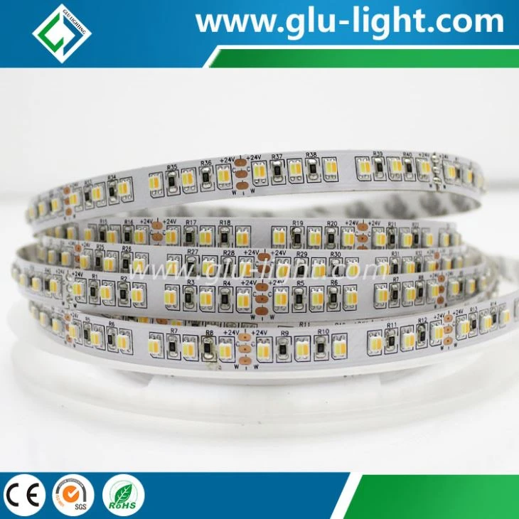 Super quality 2835 2800K/5600K Flex led strip with 120 leds/m 