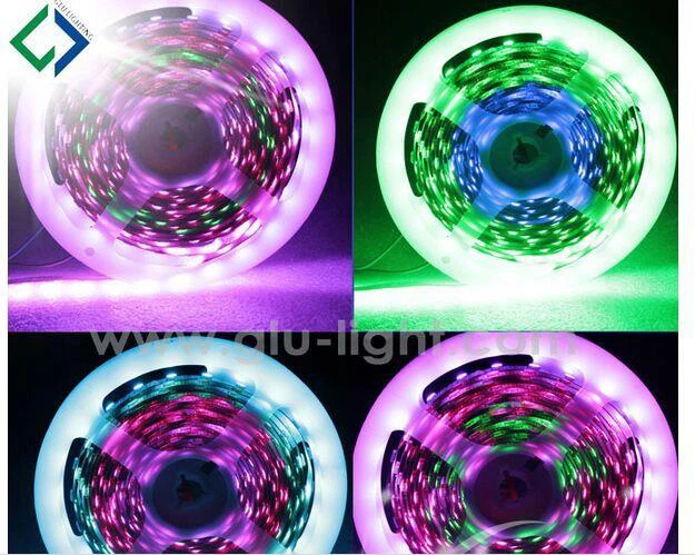 China clearence digital ws2812b led strip