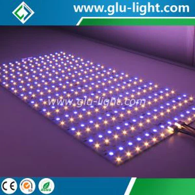 China OEM Led Specialist High CRI 24V/48V RGBWWW 5 Colors In 1 CRI95 Flexible Led Sheet