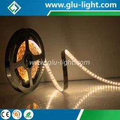 Wholesale Dot Free 12V/24V 180leds/m 2835 Led Strip With CE/RoHS/UL
